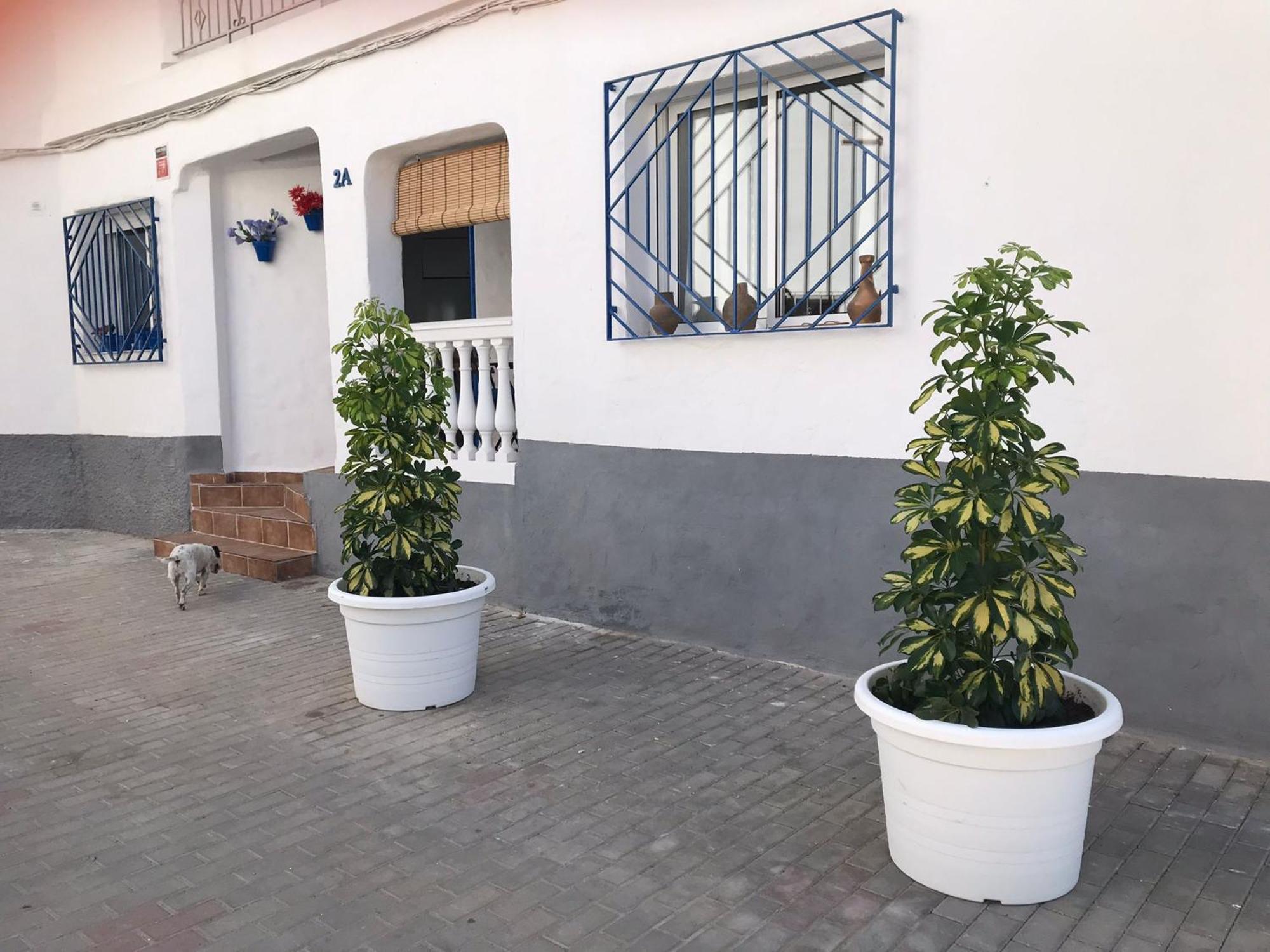 Salobreña Apartamentos Lolitalola Holidays מראה חיצוני תמונה